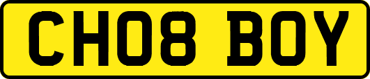 CH08BOY