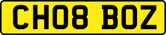 CH08BOZ