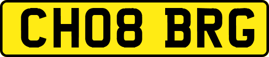 CH08BRG