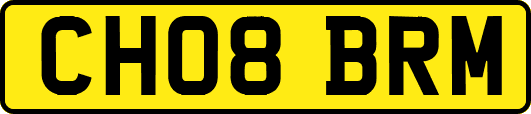 CH08BRM