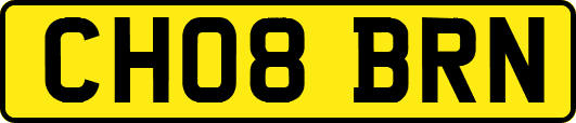 CH08BRN