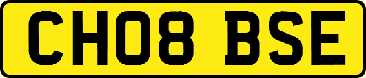 CH08BSE