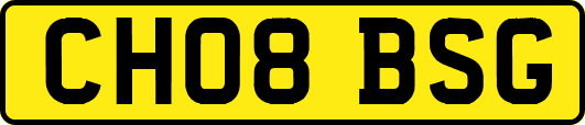 CH08BSG