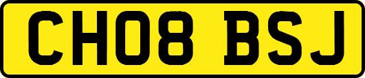 CH08BSJ