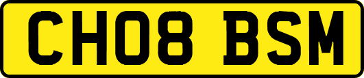 CH08BSM