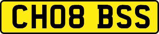 CH08BSS
