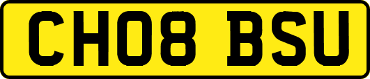 CH08BSU