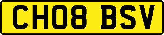 CH08BSV