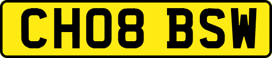 CH08BSW