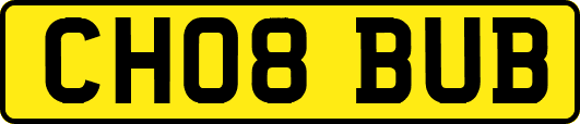 CH08BUB