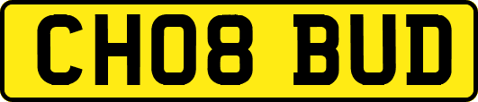 CH08BUD