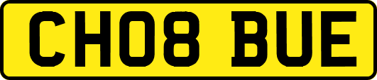 CH08BUE