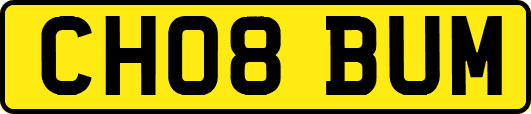 CH08BUM