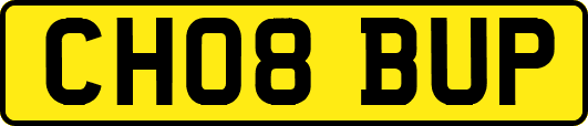 CH08BUP