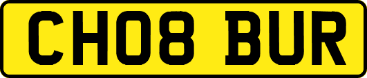 CH08BUR