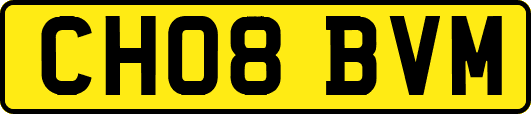 CH08BVM
