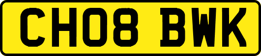CH08BWK