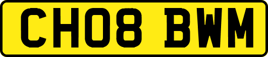 CH08BWM