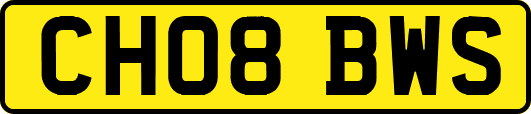 CH08BWS