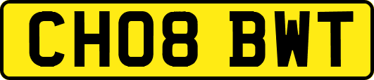 CH08BWT