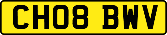 CH08BWV