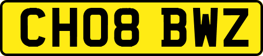 CH08BWZ