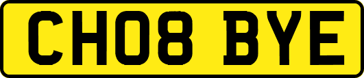 CH08BYE