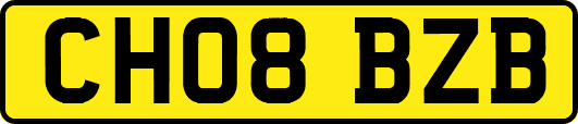 CH08BZB