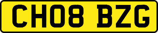 CH08BZG