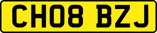 CH08BZJ