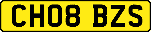 CH08BZS