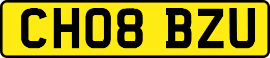 CH08BZU