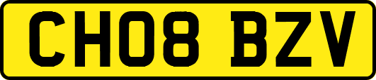 CH08BZV