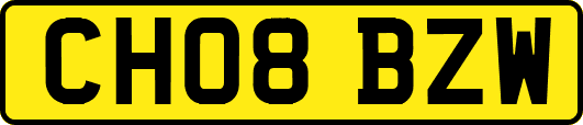 CH08BZW