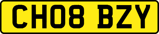 CH08BZY