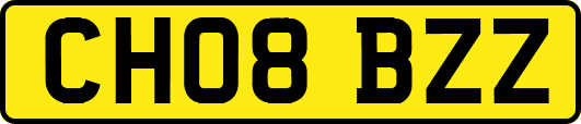 CH08BZZ