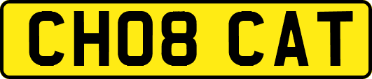 CH08CAT