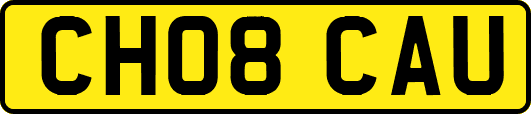 CH08CAU