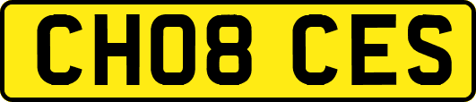 CH08CES