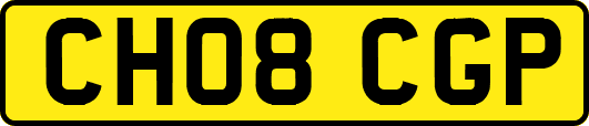 CH08CGP