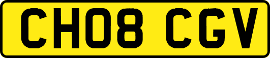 CH08CGV