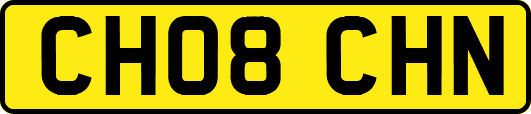 CH08CHN
