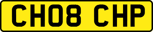 CH08CHP
