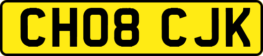 CH08CJK