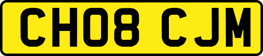 CH08CJM