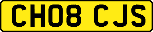 CH08CJS