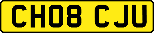 CH08CJU