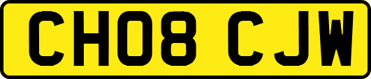 CH08CJW