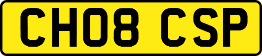 CH08CSP