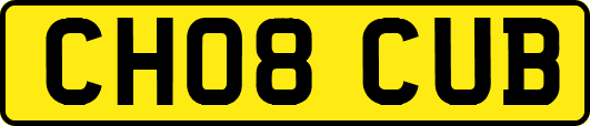 CH08CUB